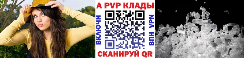 сколько стоит  Гороховец  A PVP крисы CK 