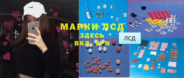 дживик Белокуриха