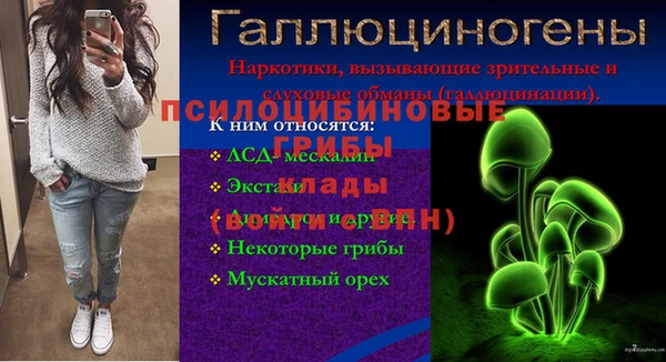 дживик Белокуриха