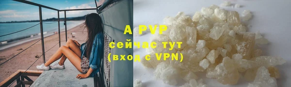 дживик Белокуриха