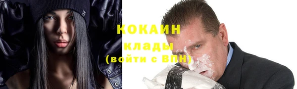 дживик Белокуриха