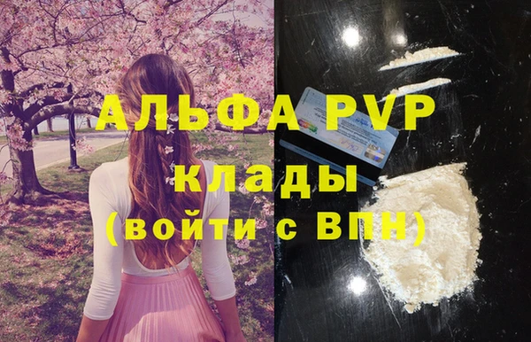 дживик Белокуриха